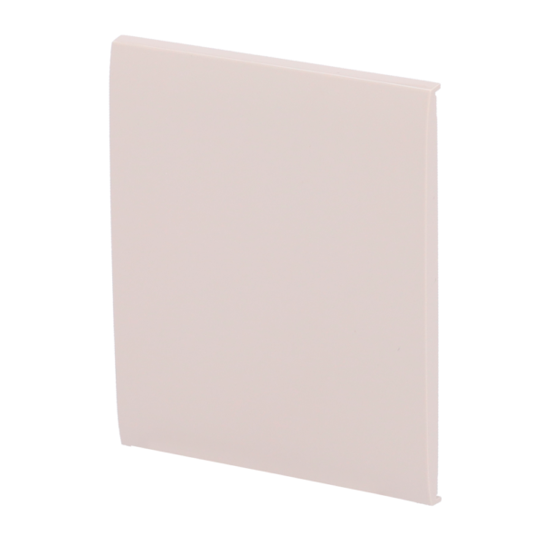 Panel táctil para interruptor de luz simple - AJ-CENTERBUTTON-1G2W-IVO