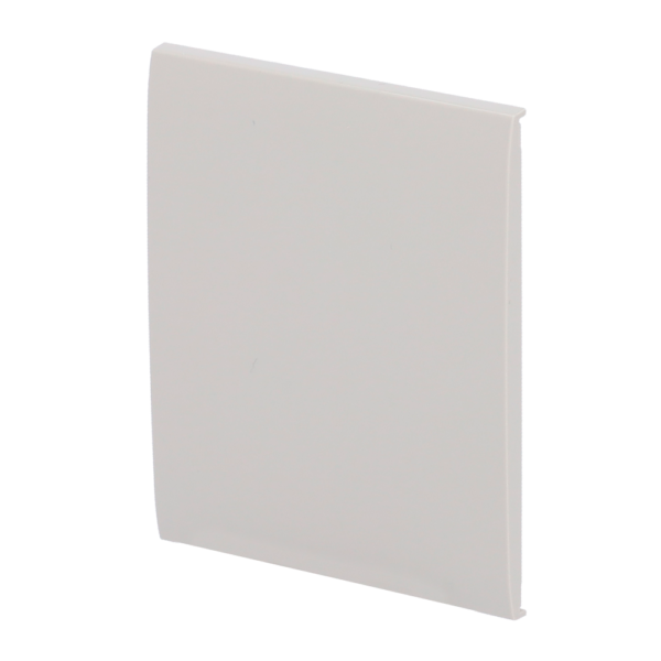 Panel táctil para interruptor de luz simple - AJ-CENTERBUTTON-1G2W-OYS