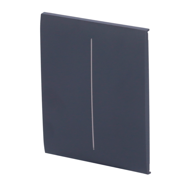 Panel táctil para interruptor de luz doble - AJ-CENTERBUTTON-2G-GRA