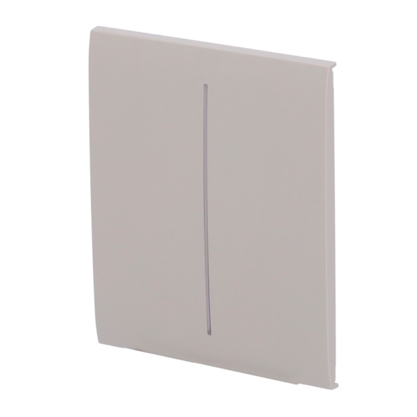 Panel táctil para interruptor de luz doble - AJ-CENTERBUTTON-2G-OLI