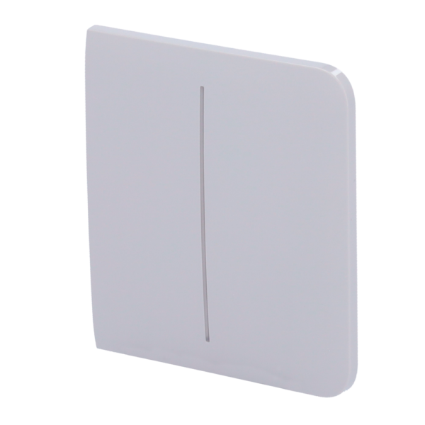 Panel táctil para interruptor de luz doble - AJ-SIDEBUTTON-2G-FOG