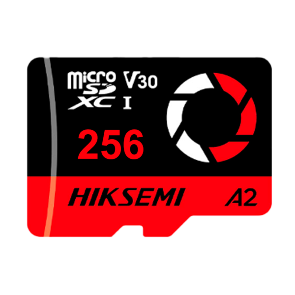 Tarjeta de memoria Hikvision - HS-TF-E3(STD)/256G/CAPTURE/W