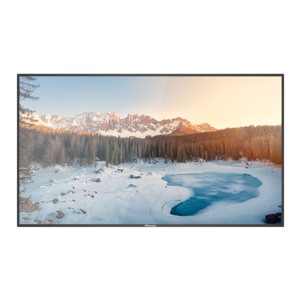 Monitor HISENSE DLED 4K 65" | Serie E - HIS-65B4E31T